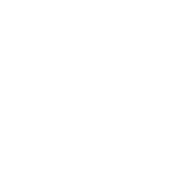 IKONA 1